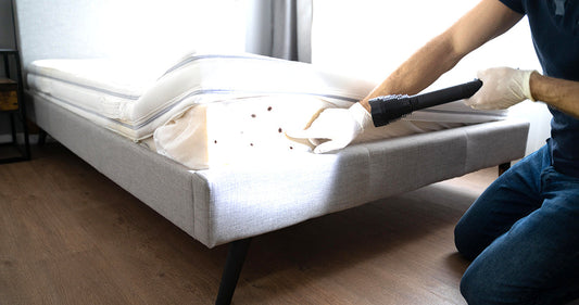 Bed Bug Infestation And Treatment Service