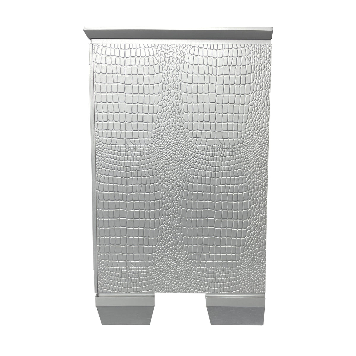 Flashy Bedside Table 2 Drawer Silver